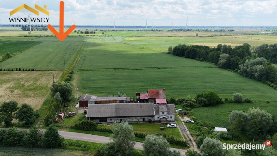 13 działek z WZ Świerznica 199 m