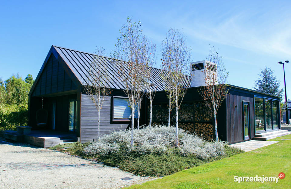 Nasadzenia zastępcze kompensacyjne brzoza klon Iglaste Rośliny śląskie