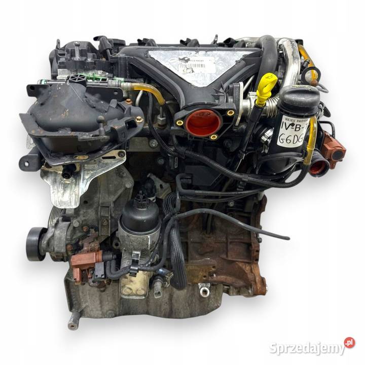 SILNIK G6DG Ford Kuga 20 TDCI 136 diesel Chełm