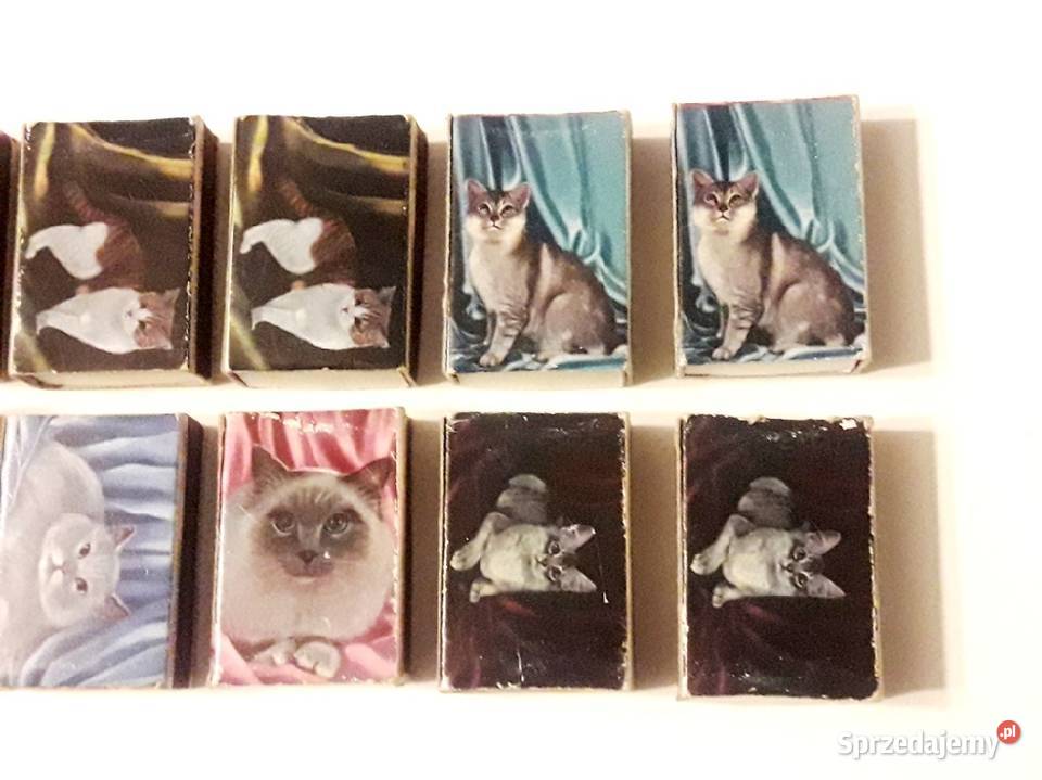 Zapałki pudełka koty i dziewczyny dwustronne PRL Piotrków Trybunalski