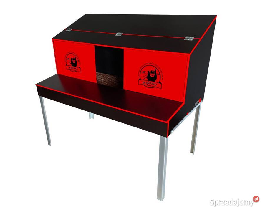 Gniazda kur Ostrów Wielkopolski