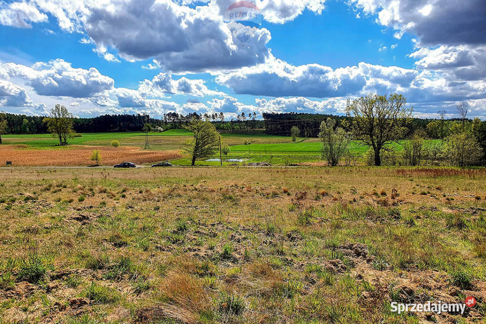 Bajeczna działka pod lasem z rozpoczętą budową 0m Sprzedaż