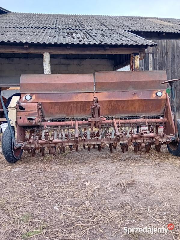 Siewnik POZNANIAK łódzkie Łęczyca