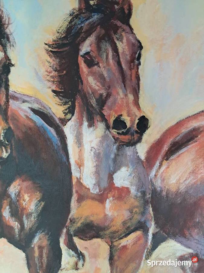 konie obraz olejny na płótnie 90x60 Sandomierz