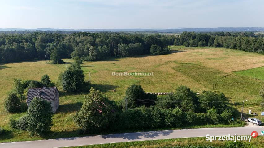 Działka 7712m2 Ostrów Królewski Nieruchomości