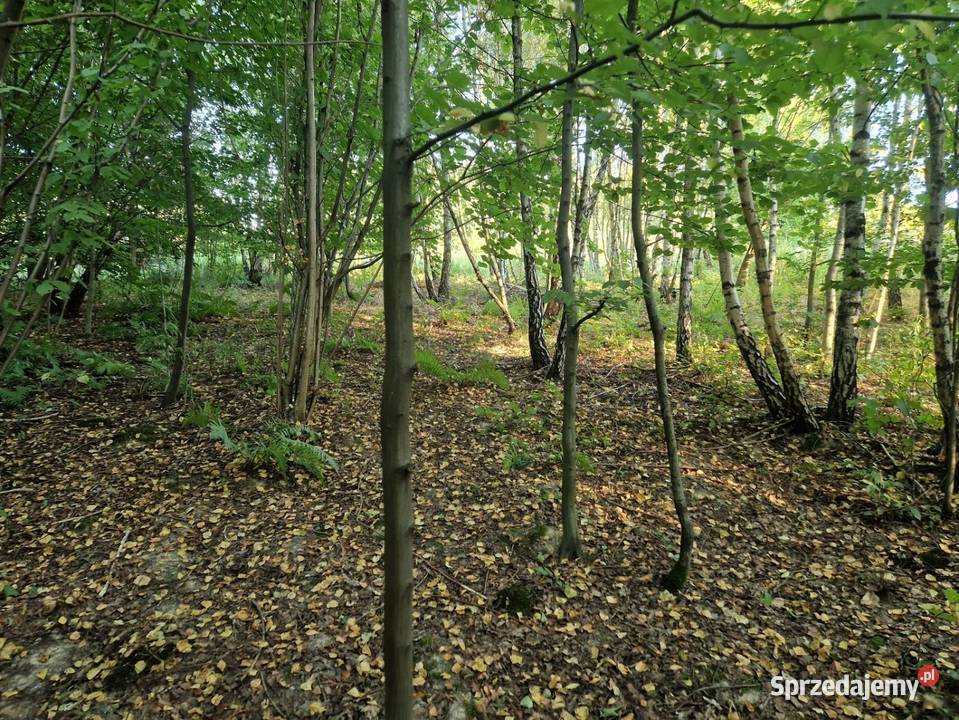 działka rolna Czułów 1500m2 Liszki