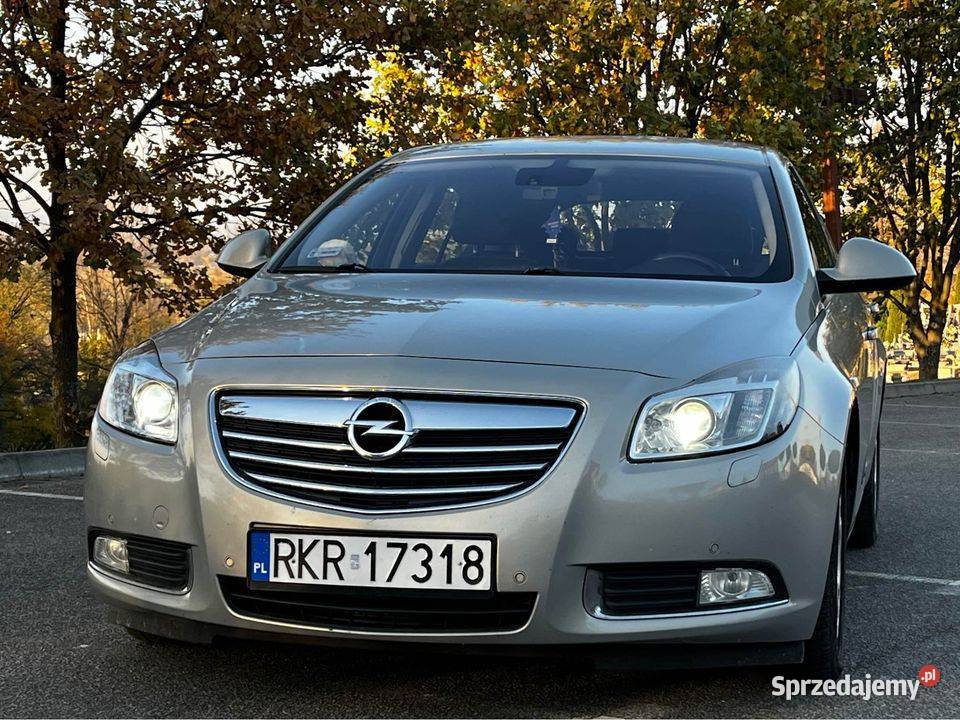 Opel Insignia 20 CDTI 250000km podkarpackie Rymanów