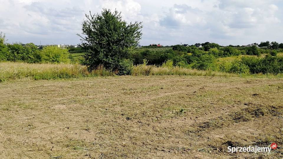 Sprzedam działkę w Sandomierzu Brzozowa Sprzedaż Sandomierz