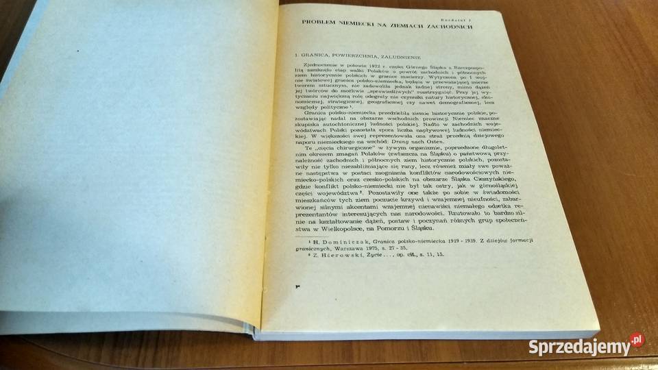 Problem niemiecki w świadomości