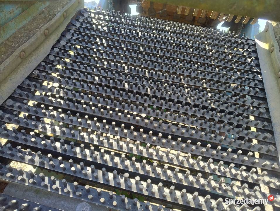 Kombajn do ziemniaków ziemniaczany Anna Z644 nieuszkodzony Mętno