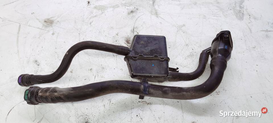 WLEW PŁYNU ADBLUE AUDI A4 B9 A5 8W0131963A Przystajń