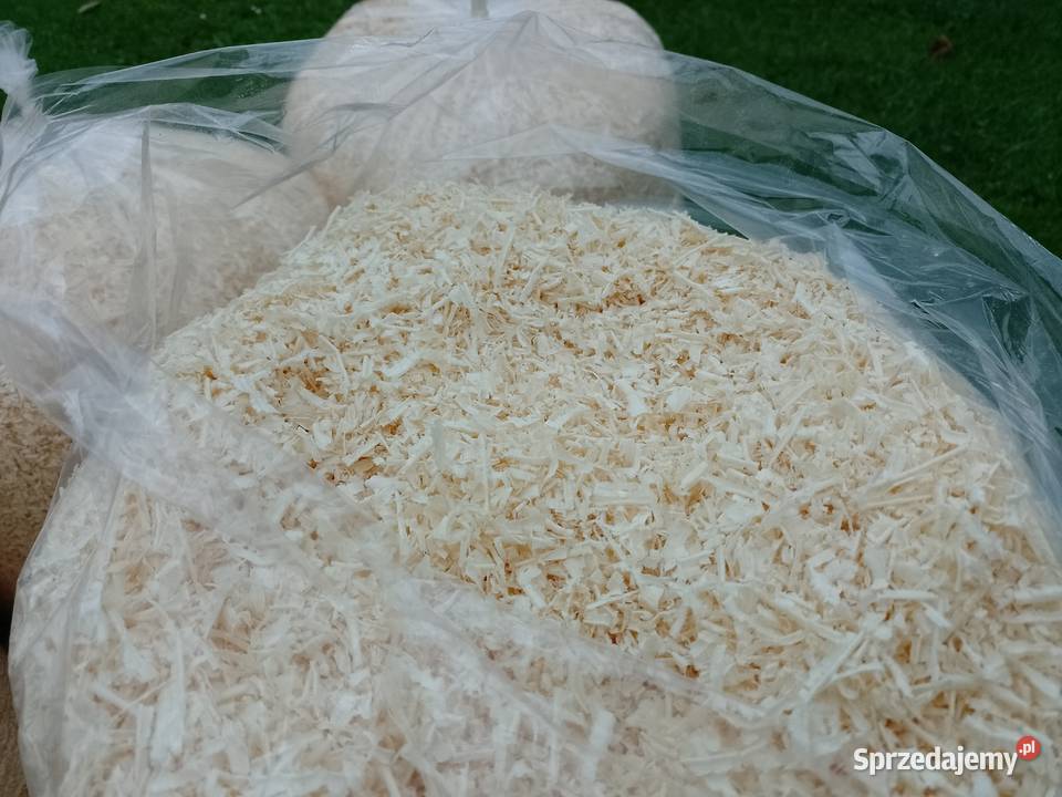 Trociny gryzoni STOLARZA 40L suche odpylone małopolskie Andrychów