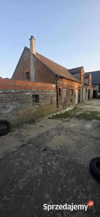 Dom z duszą agroturystyka Sprzedaż Małachowo-Wierzbiczany