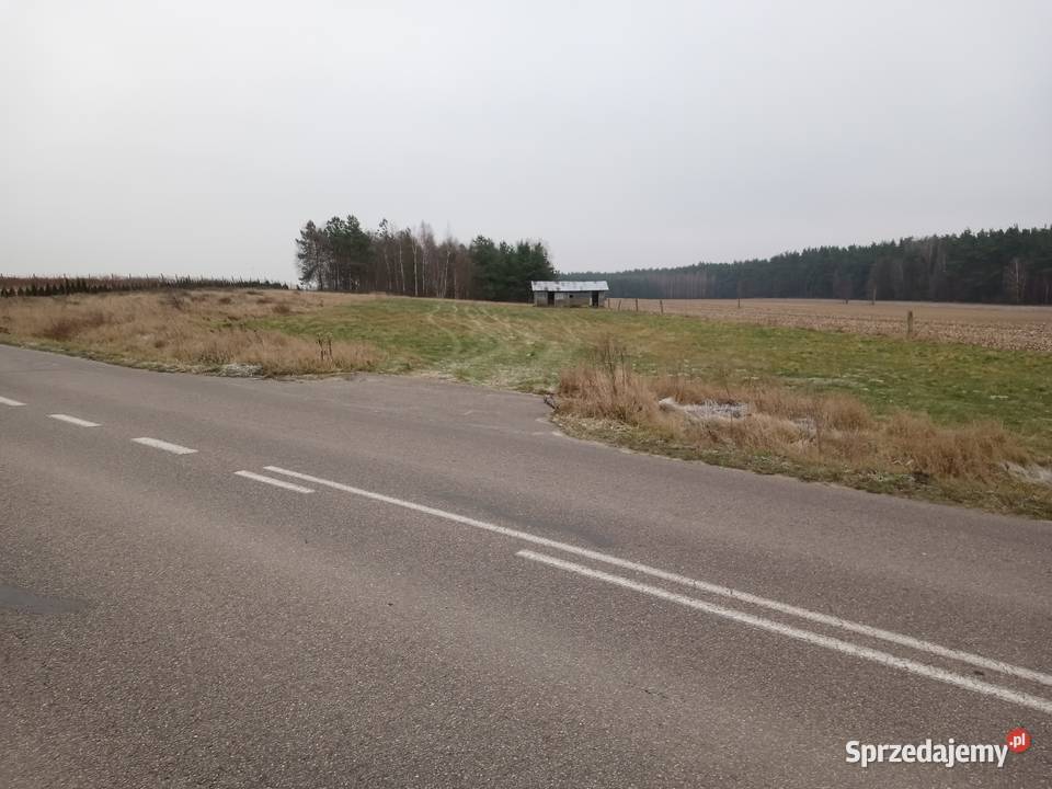 Działka budowlana 2695m2 w Lubowidzu woj Lubowidz