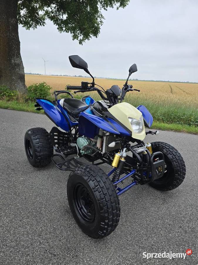 Quad Bashan Bs250cc Duża Rama Ciecz Kat B Kruszwica