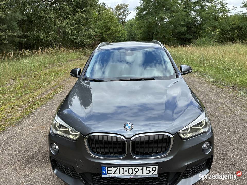 BMW X1 W M PAKIECIE