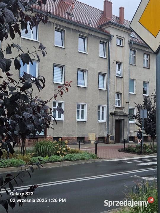 Mieszkanie 516m2 2 pokoje Zgorzelec kamienica