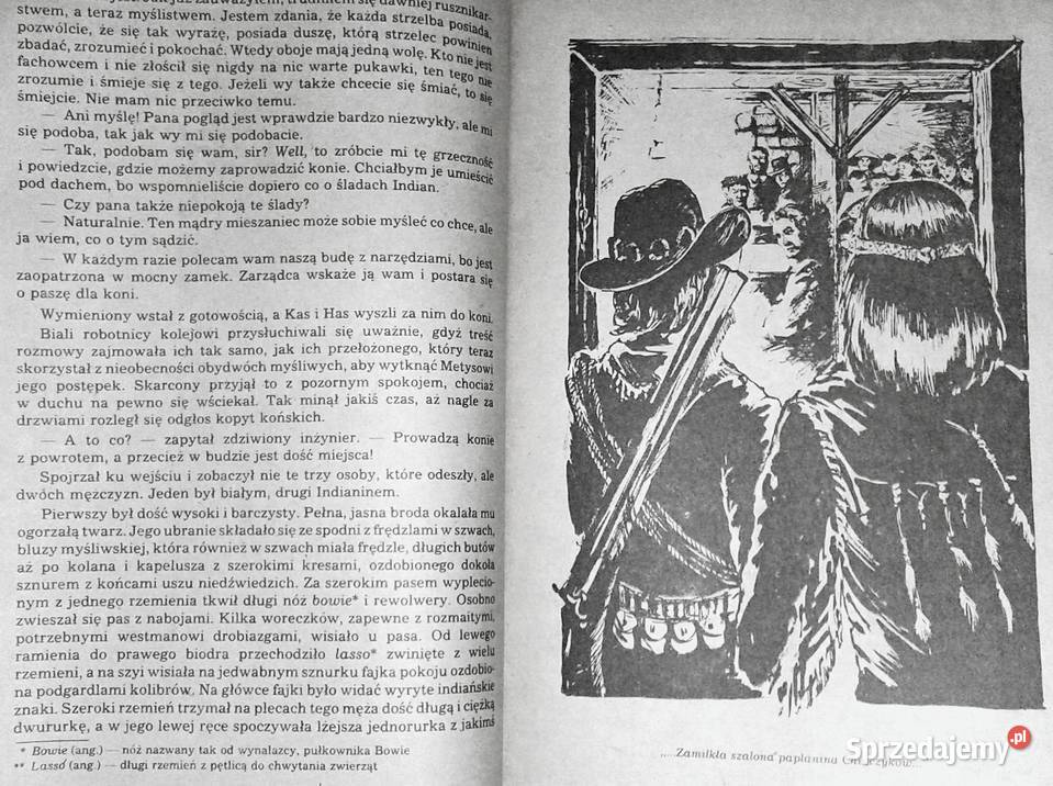 góry i prerię Czarny Mustang 1 Karol May Rok wydania 1987 Chełm sprzedam