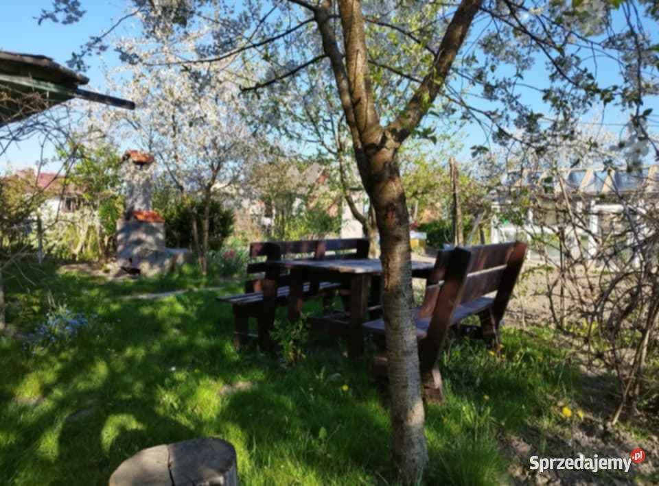 Działka Ogród Koszalin drzewa owocowe zachodniopomorskie