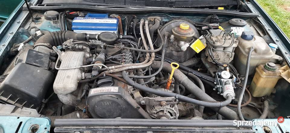 Audi 80 b4 zielony lubelskie