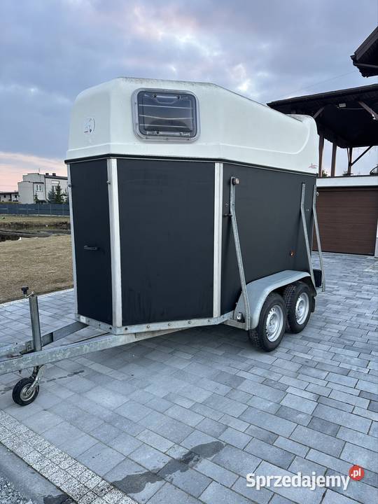 Dmc 1300 kat b przyczepa do przewozu koni Boeckman Mokra