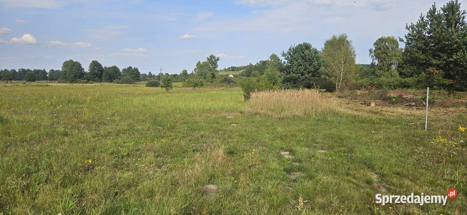 Udział 12 nieruchomości niezabudowanej Borowiec świętokrzyskie Krasocin