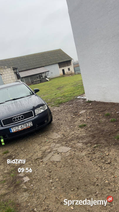 Audi a4 b6 świętokrzyskie Bidziny