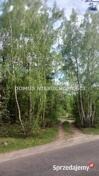 Sprzedam działka Grzmiąca 3511m2 sprzedam