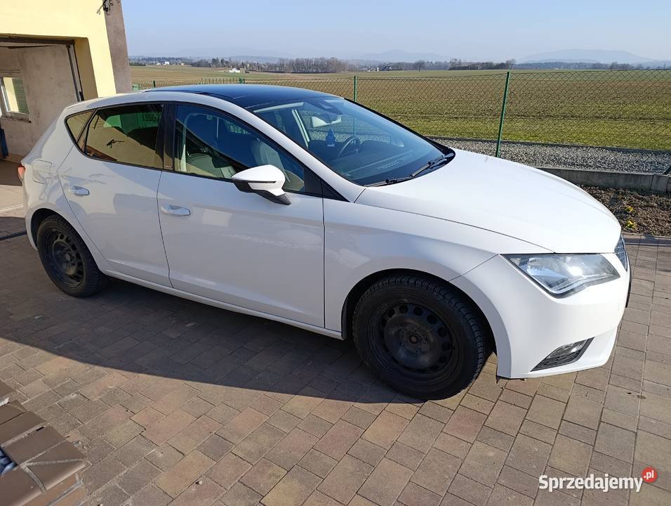 Seat Leon 14TSI 125 Rudnik