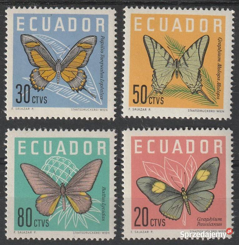 EKWADOR MOTYLE CZYSTE Łódź sprzedam