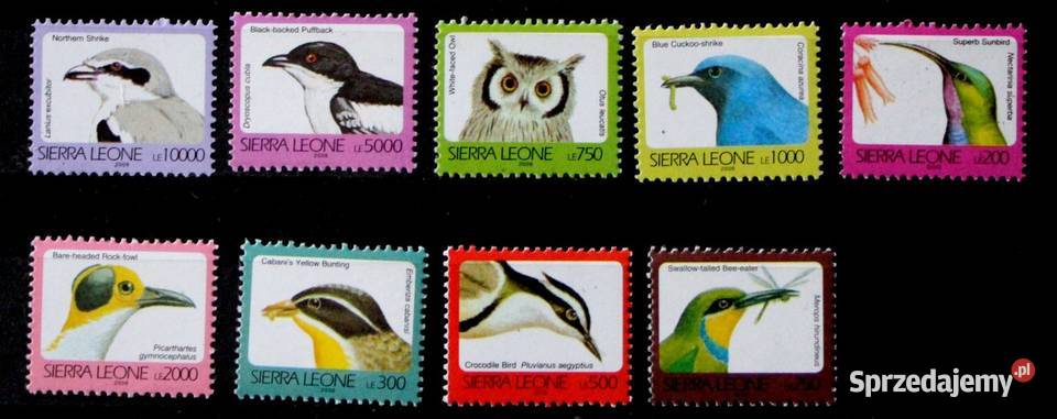 Sierra Leone Oborniki sprzedam