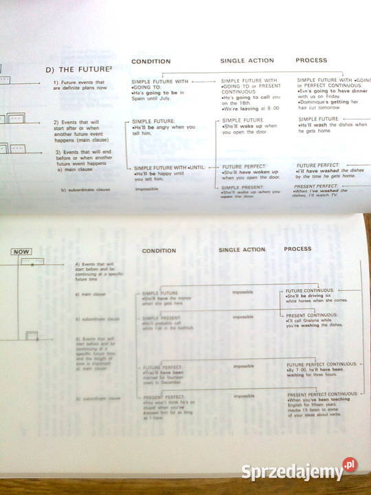 The English Advisor POCIECHA angielski