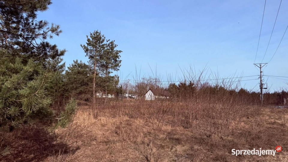 Działka budowlana RosochaKolonia 1150m2