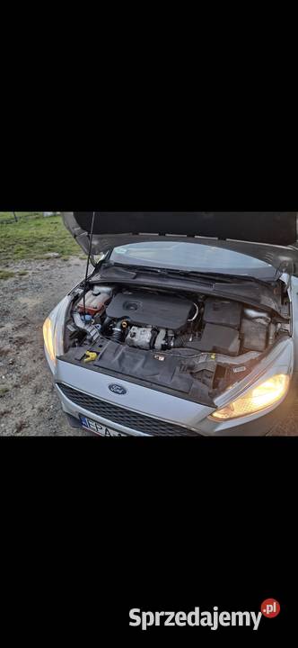 Ford Focus 15 2015r 95 95KM Pabianice