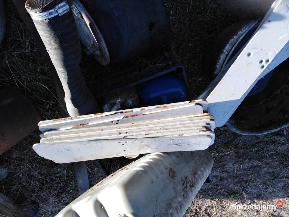 Płaskowniki Poddębice