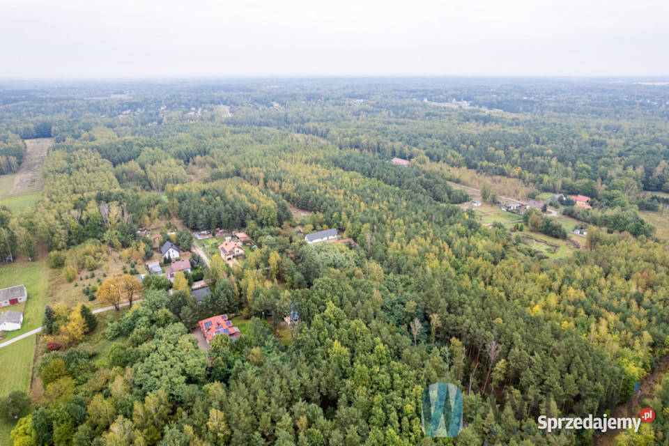 Grunt 133548m2 Nowa Bukówka Gajowa Sprzedaż mazowieckie