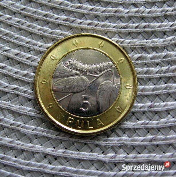 Botswana 5 Pula 2013r Numizmatyka Kalisz