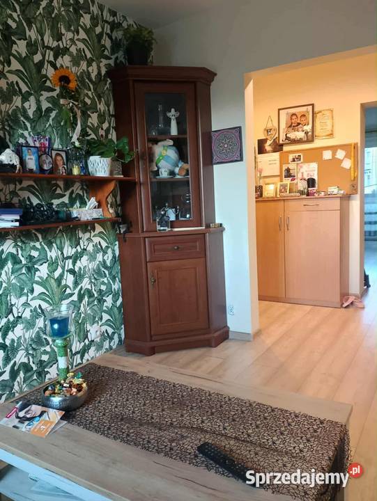 Sprzedam mieszkanie 49m2 Lębork Liczba pokoi 2