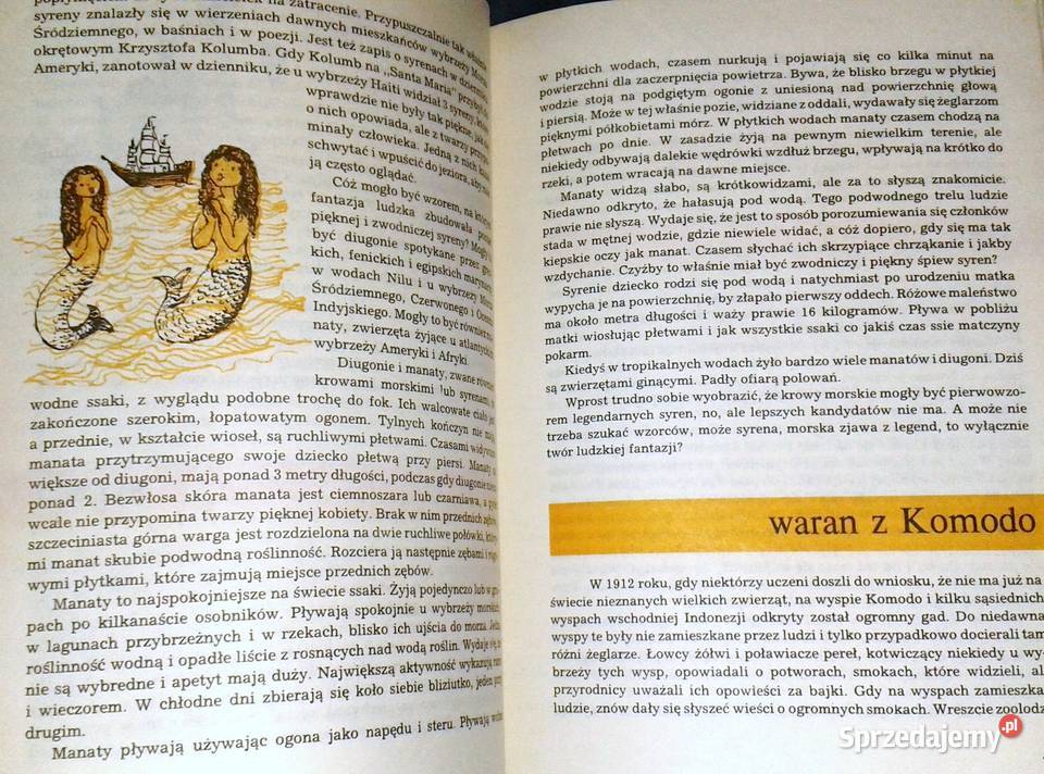 I kudłate i łaciate Maria Sołtyńska Chełm