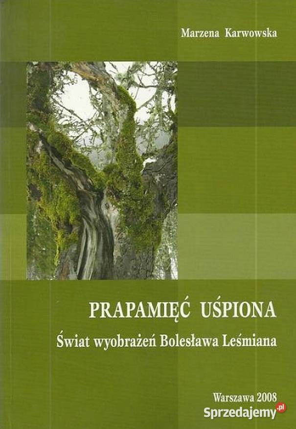 PRAPAMIĘĆ UŚPIONA ŚWIAT WYOBRAŻEŃ BOLESŁAWA Ostrołęka