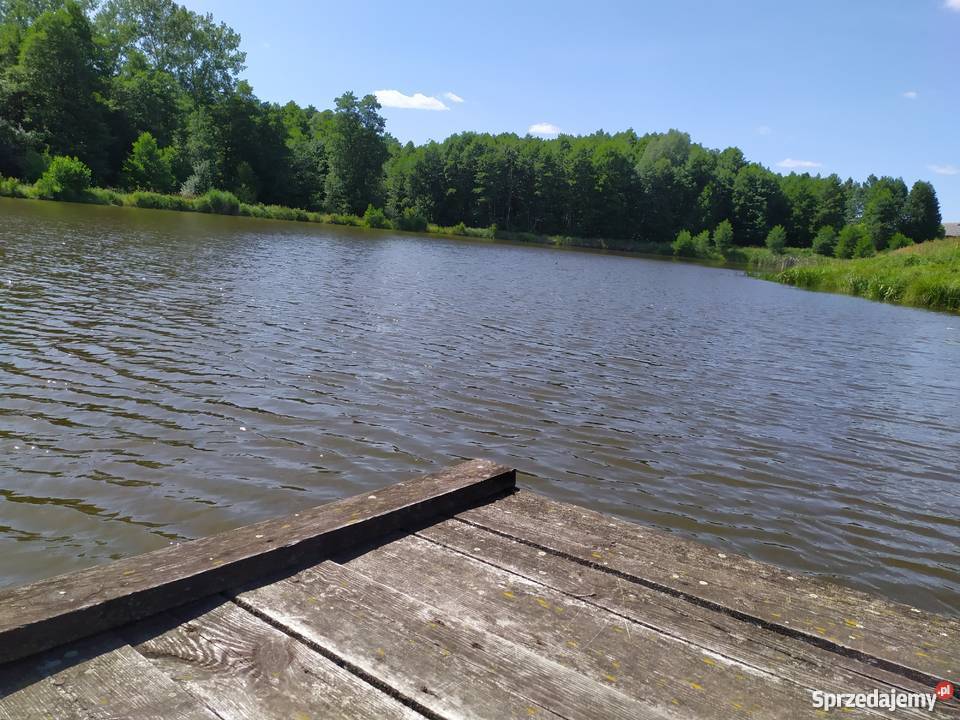 Duża działka ze stawem w okolicach Mławy mały Mława