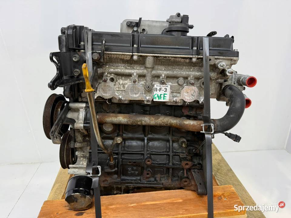 SILNIK G4EE Hyundai Accent III MC Getz TB Kia lubelskie Chełm
