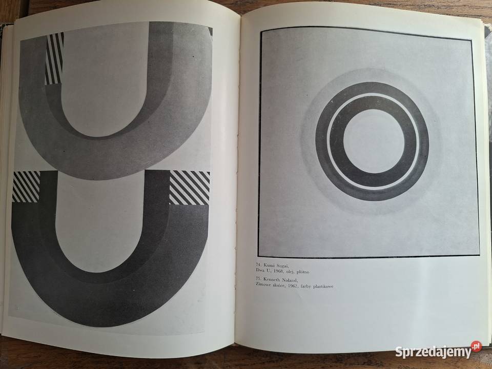 Żywa sztuka współczesności Adam Radajewski Książki i Podręczniki Kraków sprzedam