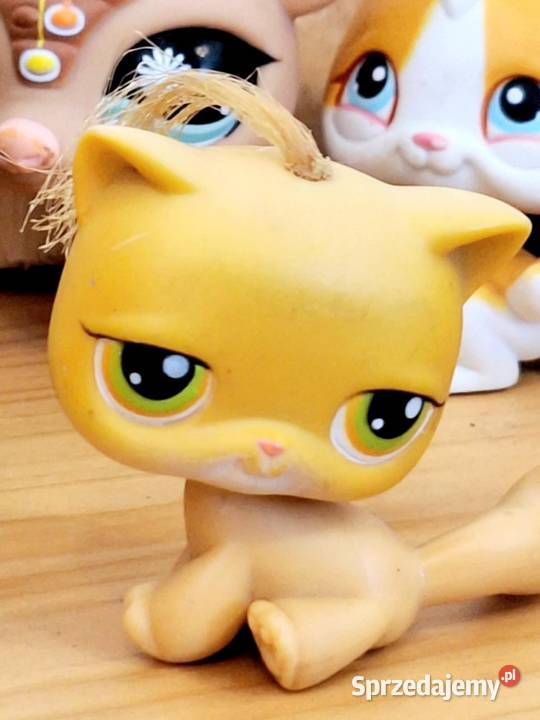Shorthsir kotek kitka Littlest Pet Shop Braniewo