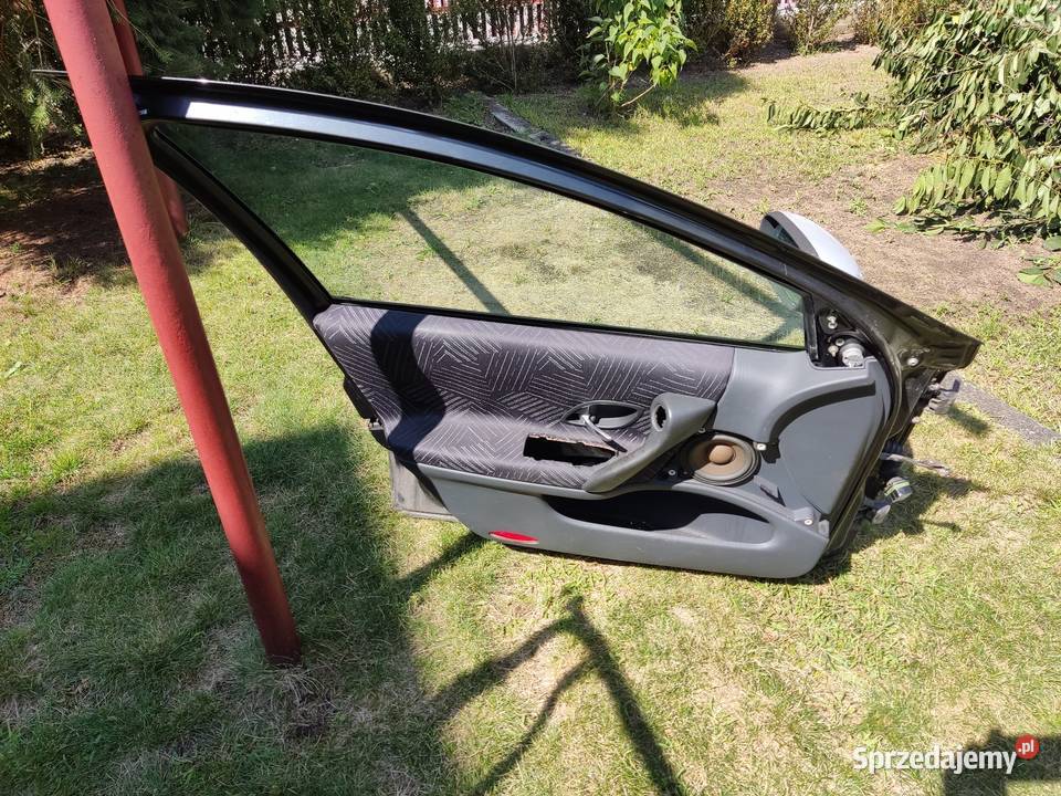 drzwi lewe prawe tył przód Laguna ii TEB66 Jedlnia-Letnisko
