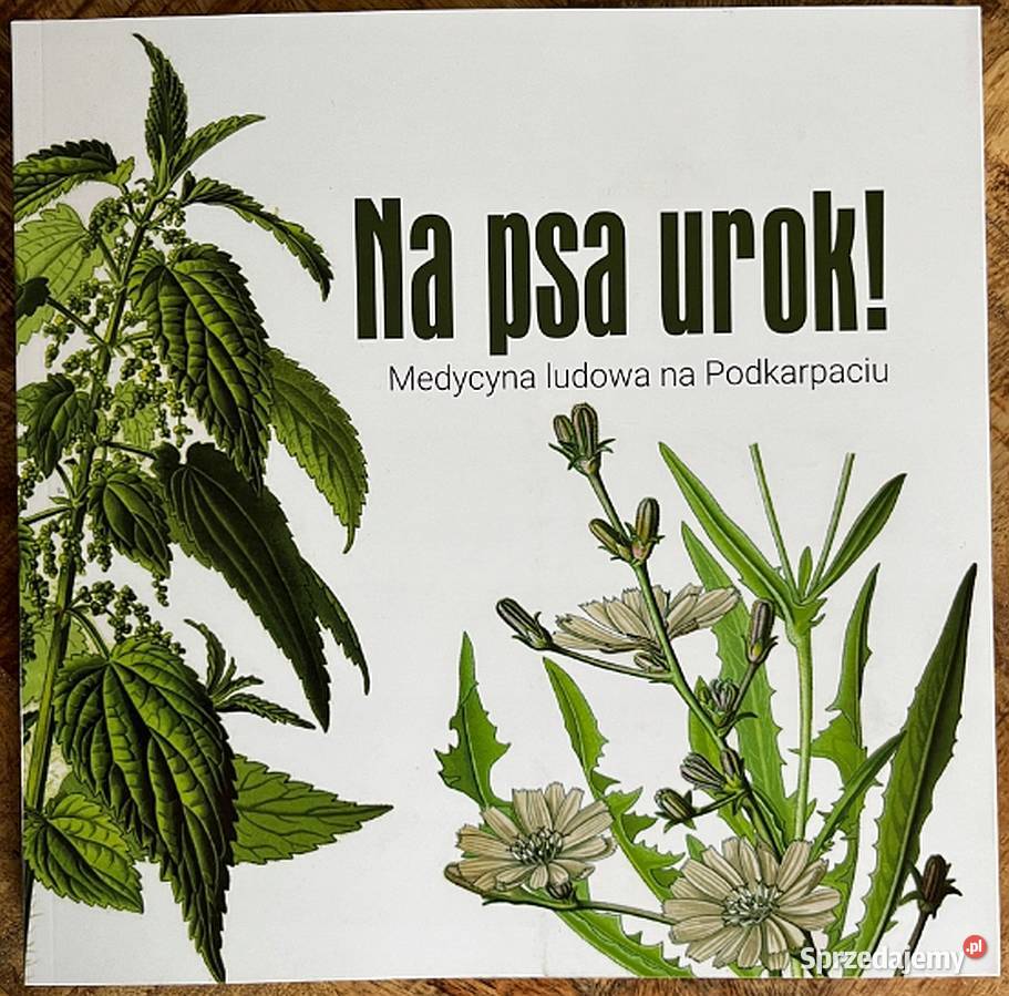 Na psa urok Medycyna ludowa na Podkarpaciu dolnośląskie Świdnica