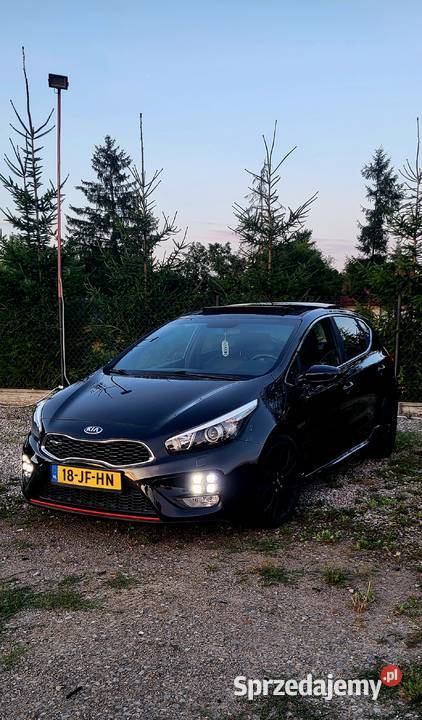 KIA Ceed GT 1.6 204KM Panorama Fuul Opcja z Holandii Okazja Najtańsza w PL