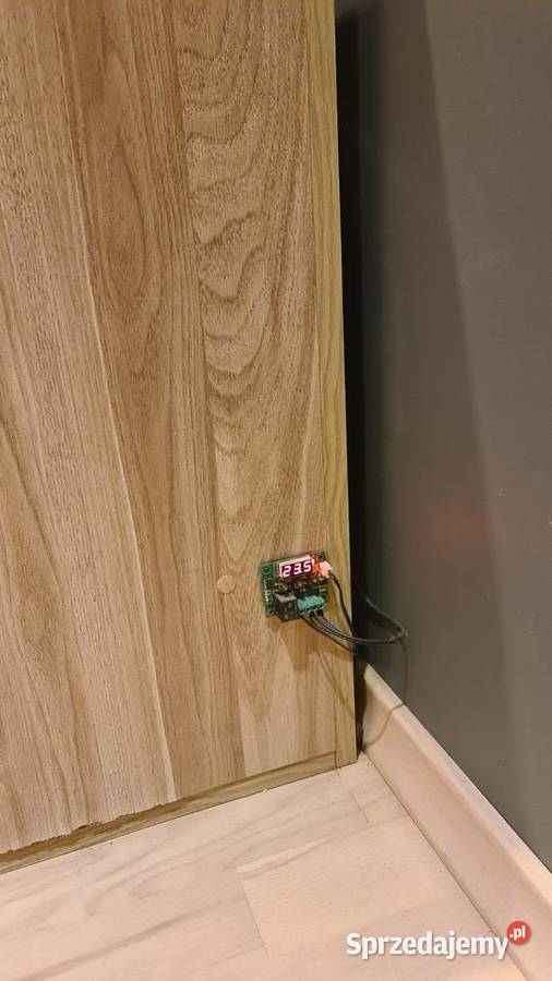 Pyton królewski terrarium Żernica