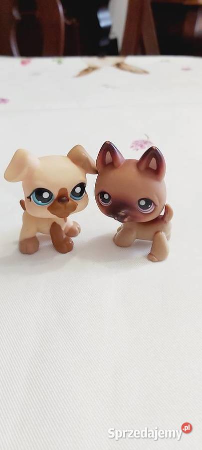 2 pieski Zestaw LPS i Hasbro Braniewo