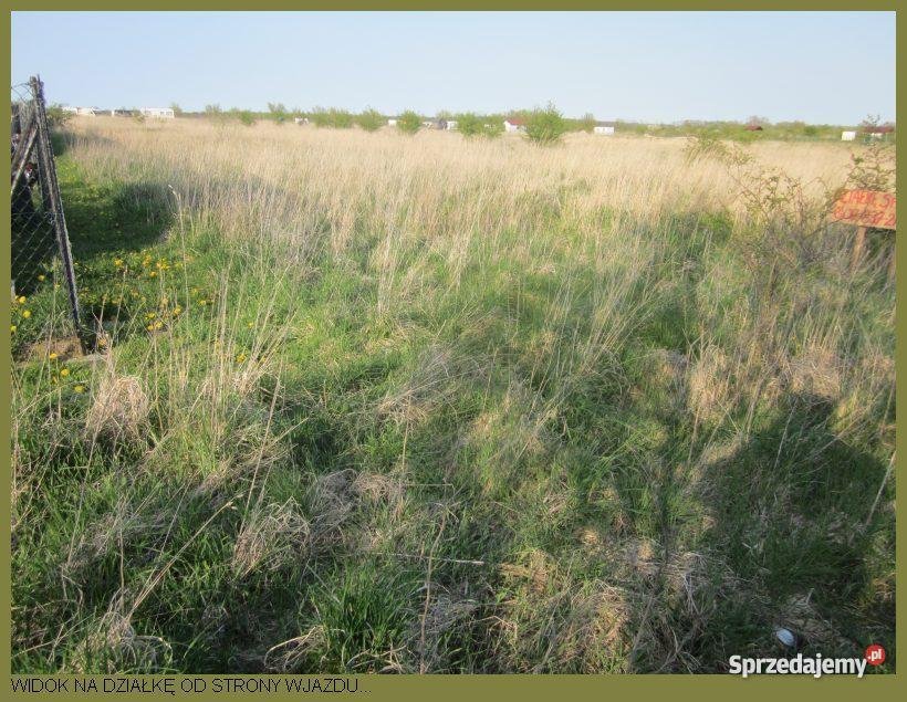 DZIAŁKA ROLNA MORZEM NIECHORZE zachodniopomorskie Niechorze